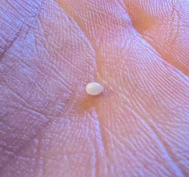 Interesting Discoveries And Finds (44 pics)