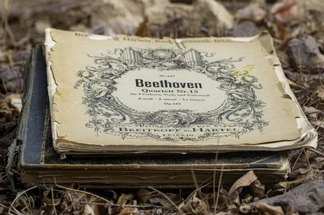 Strange Quirks Of Historical Figures (14 pics)