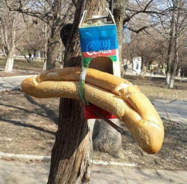Strange Photos From Russia (40 pics)