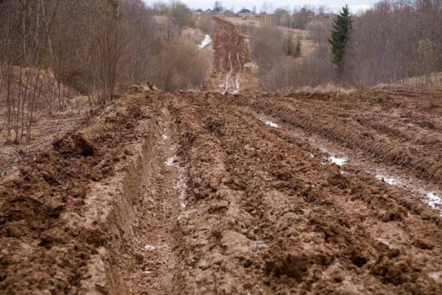 Strange Photos From Russia (40 pics)
