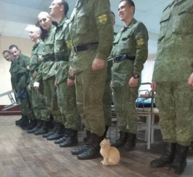Strange Photos From Russia (40 pics)