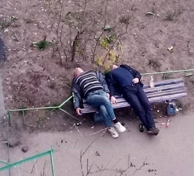 Odd Photos From Russia (40 pics)