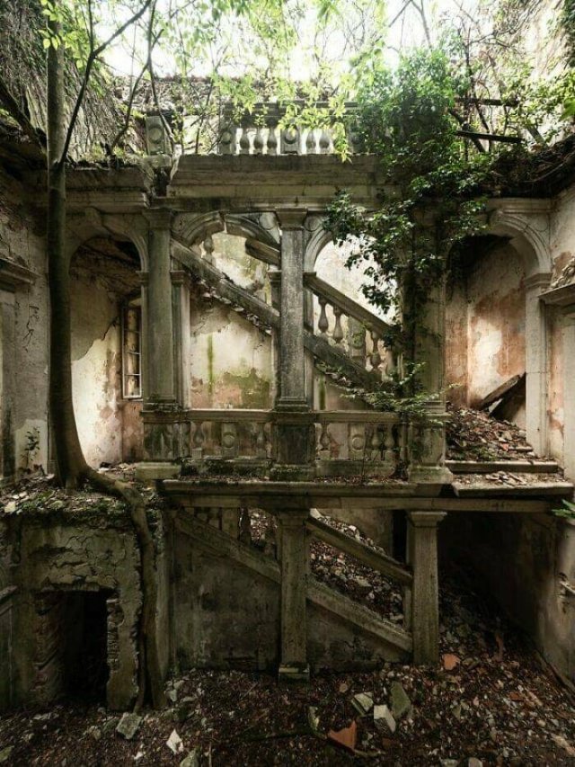 Abandoned Treasures (38 pics) Abandoned Treasures (38 pics)