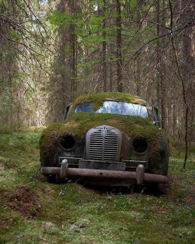 Abandoned Treasures (38 pics)