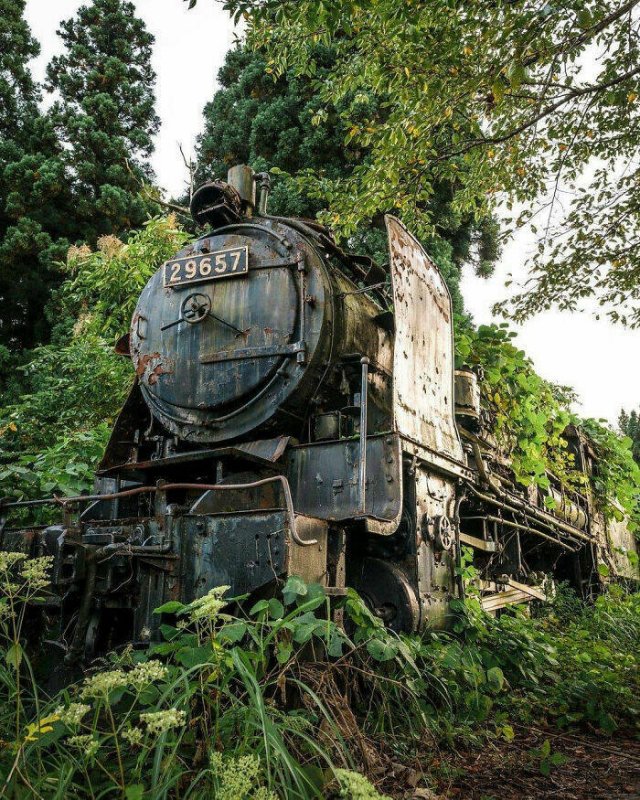 Abandoned Treasures (38 pics)