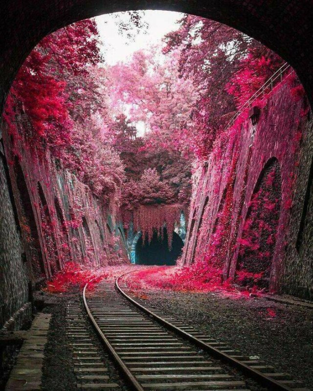Abandoned Treasures (38 pics) Abandoned Treasures (38 pics)