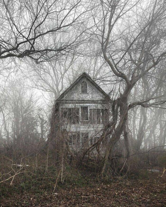 Abandoned Treasures (38 pics)