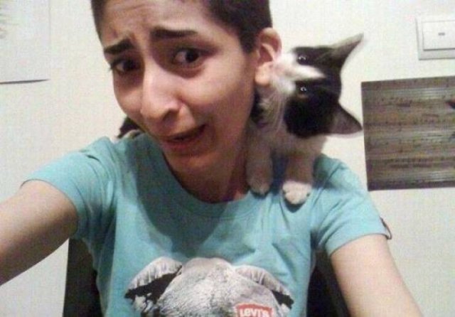 Bad Days Happen (42 pics)