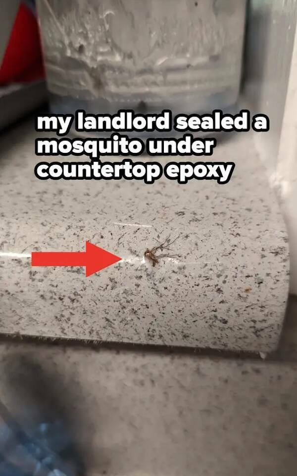 Bad Days Happen (42 pics)