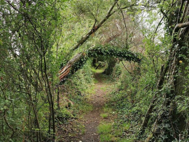 Abandoned Treasures (38 pics)