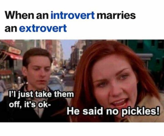 Memes For Introverts (27 pics)