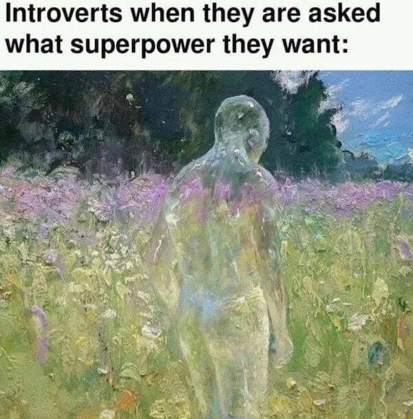 Memes For Introverts (27 pics)