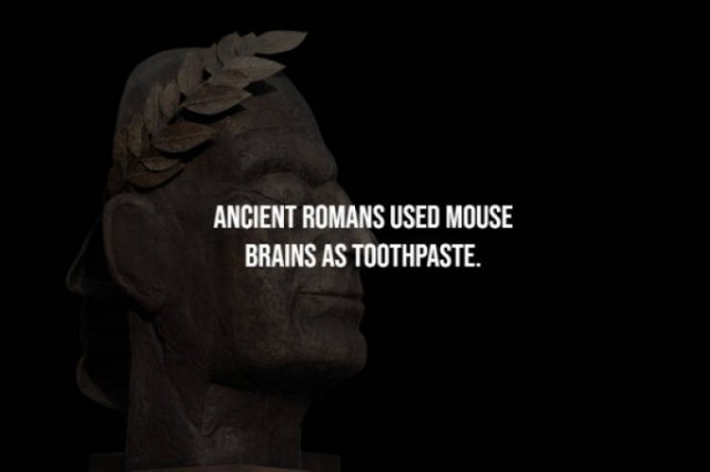 Creepy Facts (28 pics)