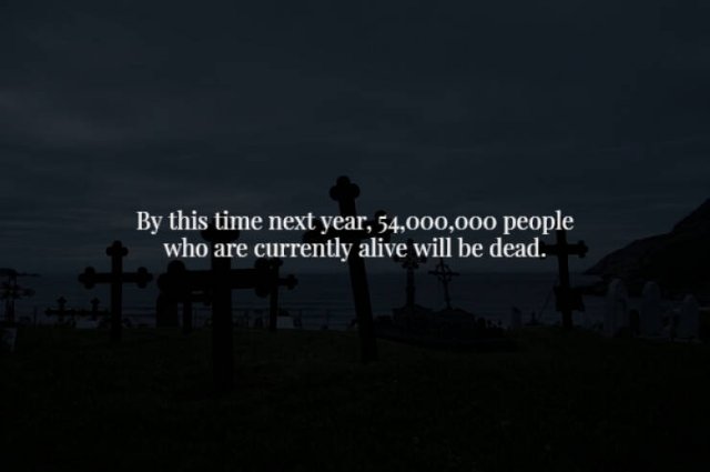 Creepy Facts (28 pics)