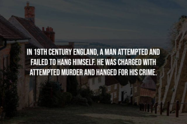 Creepy Facts (28 pics)