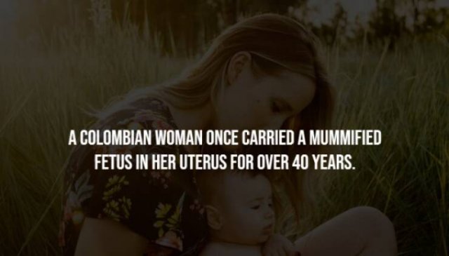 Creepy Facts (28 pics)