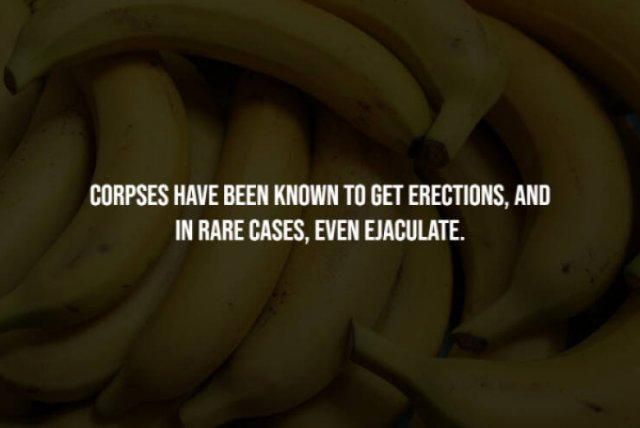 Creepy Facts (28 pics)