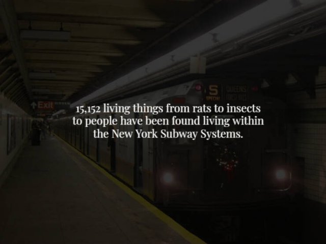 Creepy Facts (28 pics)