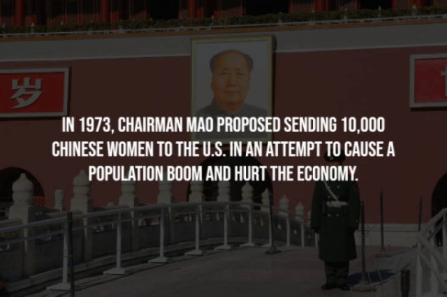 Creepy Facts (28 pics)