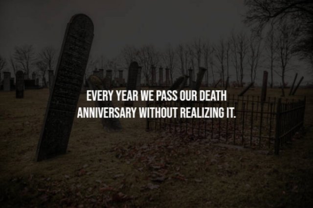 Creepy Facts (28 pics)