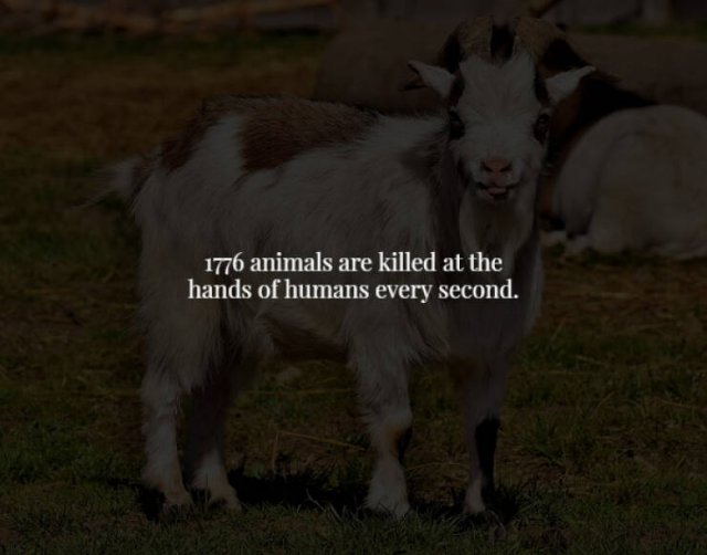 Creepy Facts (28 pics)