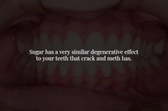 Creepy Facts (28 pics)