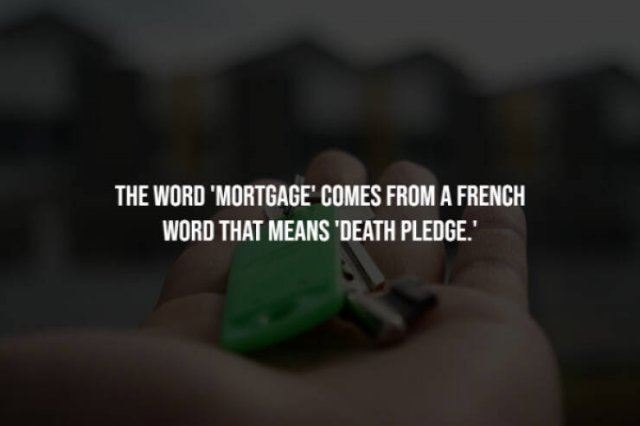 Creepy Facts (28 pics)
