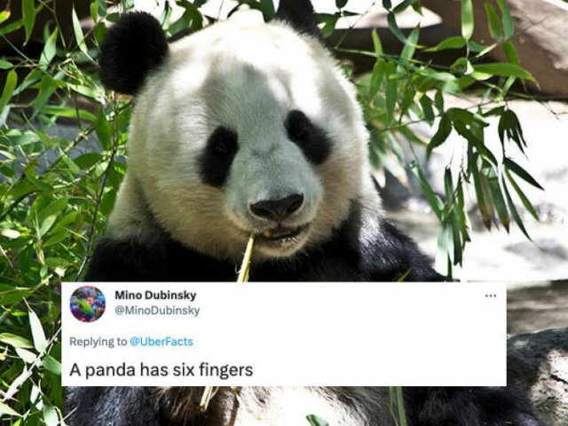 People Told About Their New Knowledge (32 pics)