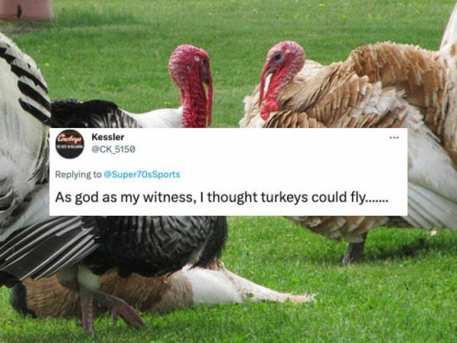 People Told About Their New Knowledge (32 pics)
