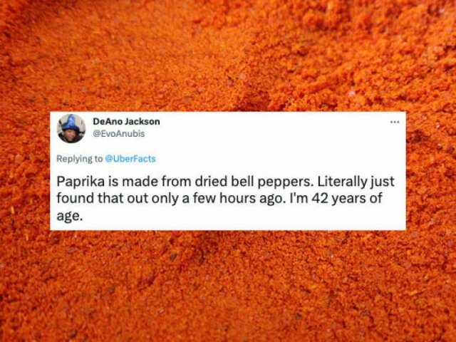People Told About Their New Knowledge (32 pics)