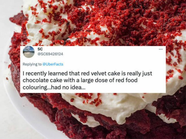 People Told About Their New Knowledge (32 pics)