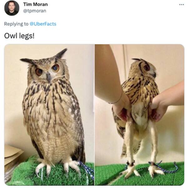 People Told About Their New Knowledge (32 pics)