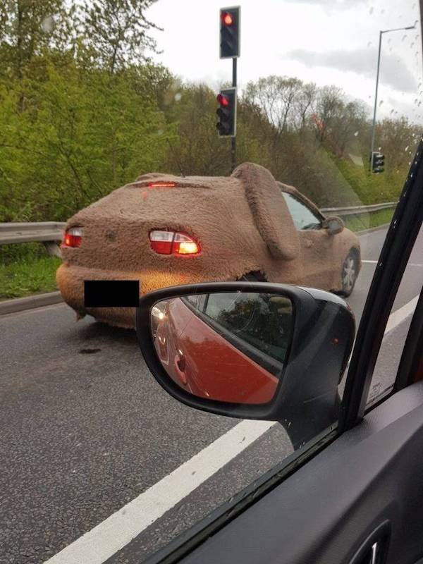 Crazy Cars (31 pics)