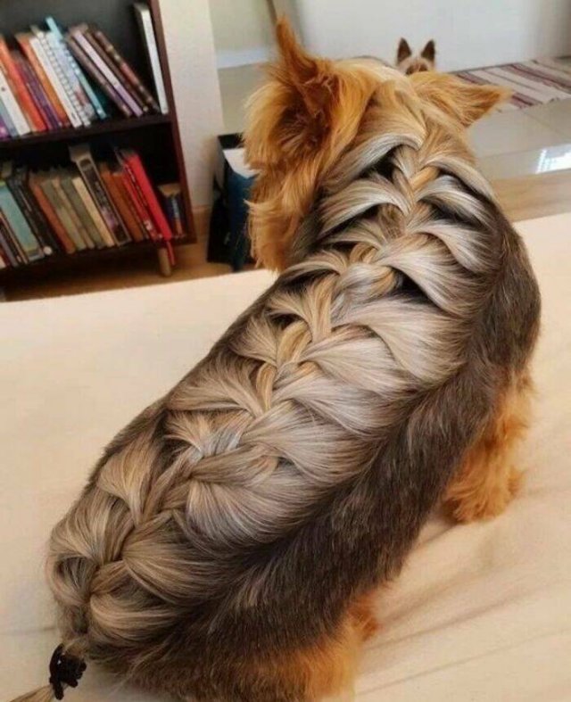 Weird Designs (46 pics)