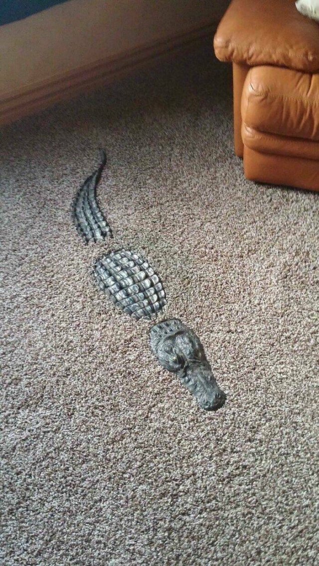 Weird Designs (46 pics)