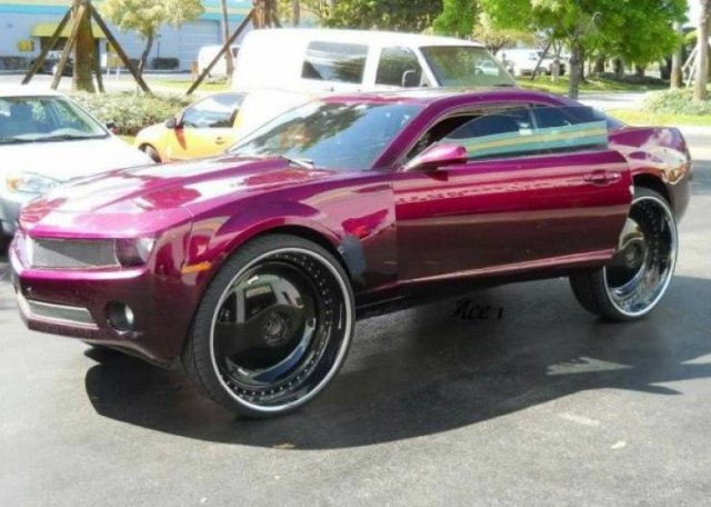 Crazy Cars (50 pics)