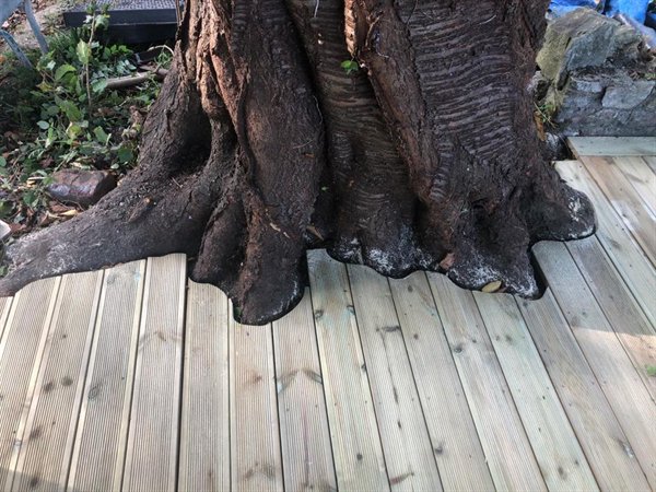 Photos For Perfectionists (30 pics)