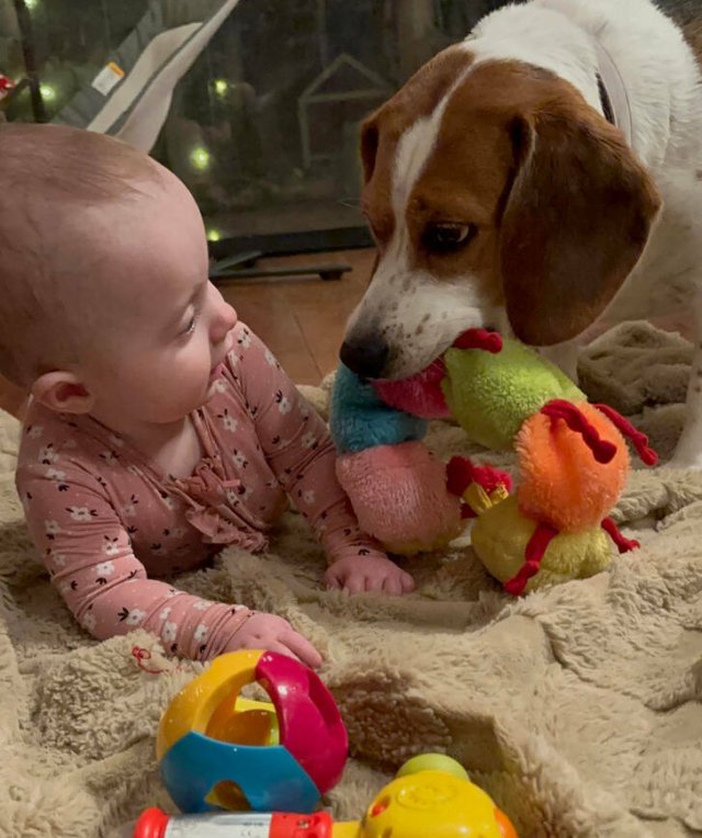 People Share Their Cute Family Photos (22 pics) People Share Their Cute Family Photos (22 pics)