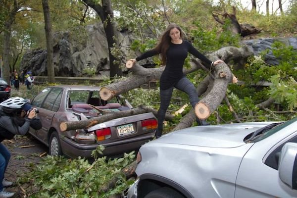 Odd Car Crashes (35 pics)