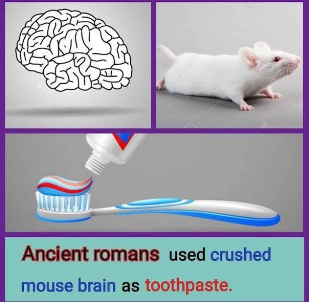 Weird Designs (43 pics)