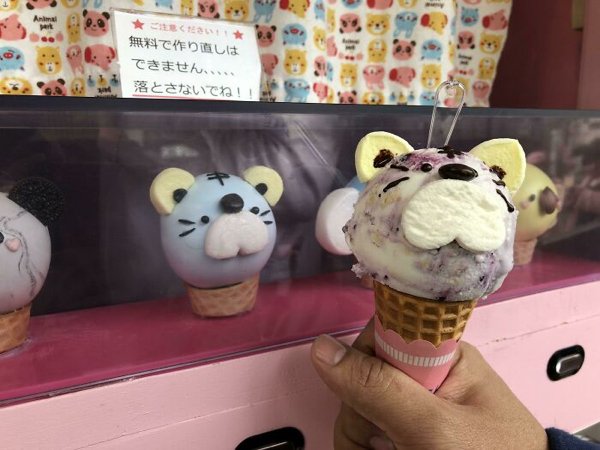 Expectations And Reality In Japan (30 pics)