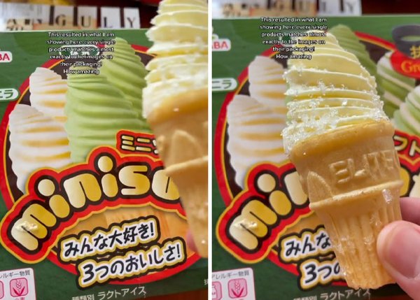 Expectations And Reality In Japan (30 pics)
