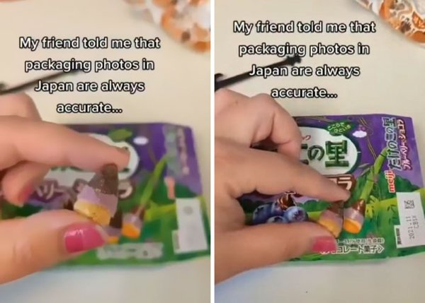 Expectations And Reality In Japan (30 pics)