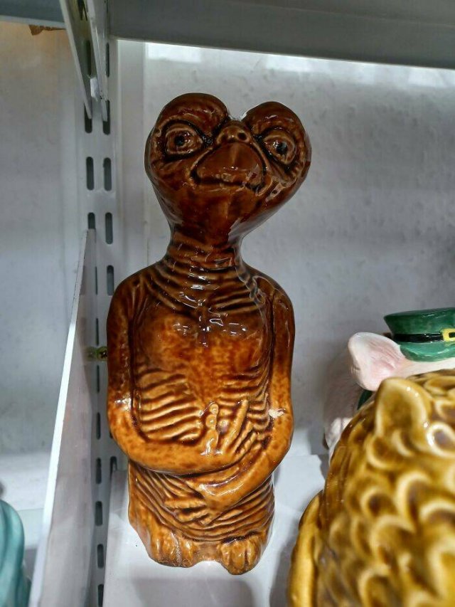 Odd Finds In Charity Shops (40 pics)
