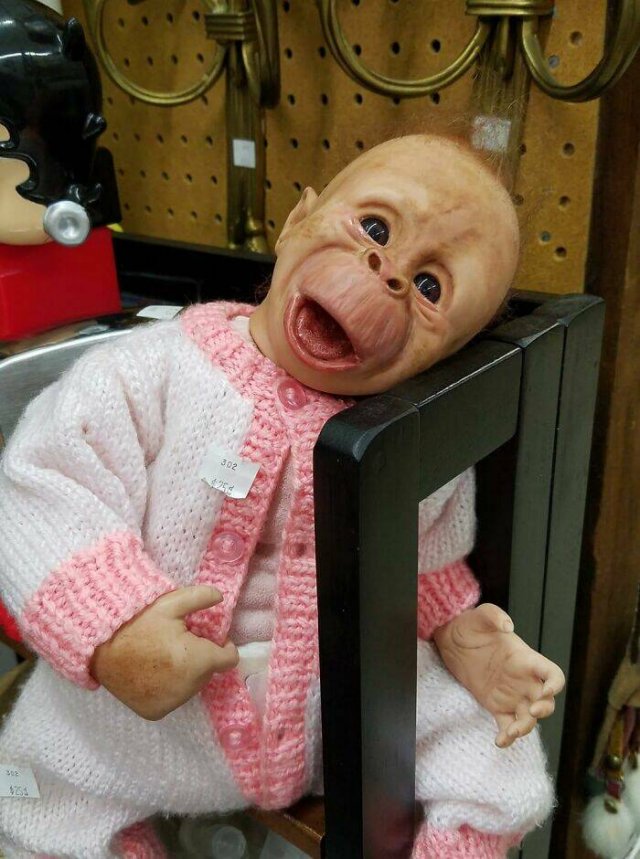 Odd Finds In Charity Shops (40 pics)