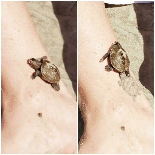 Unexpected Matches With Tattoos (35 pics)