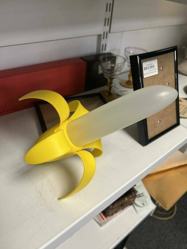 Odd Finds In Charity Shops (40 pics)