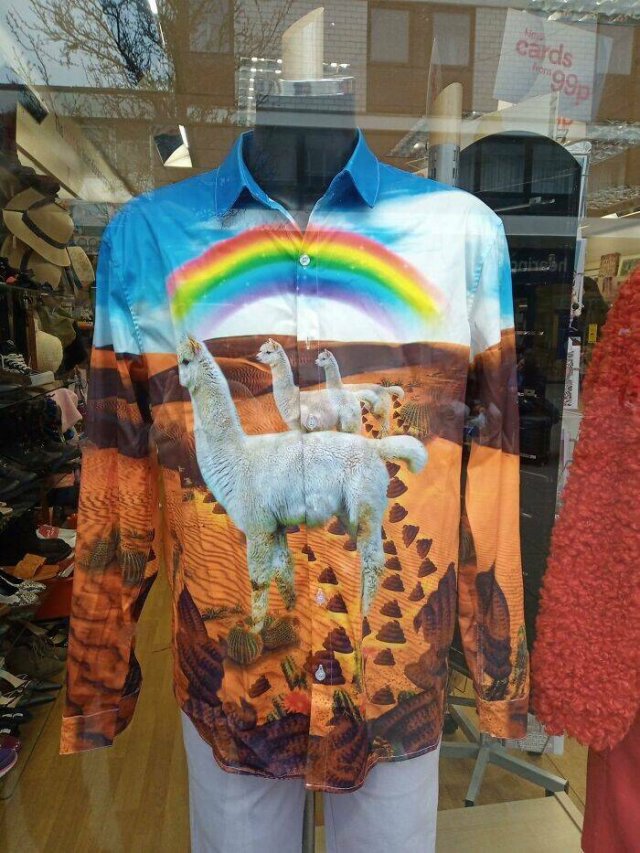 Odd Finds In Charity Shops (40 pics) Odd Finds In Charity Shops (40 pics)