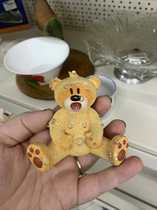 Odd Finds In Charity Shops (40 pics)