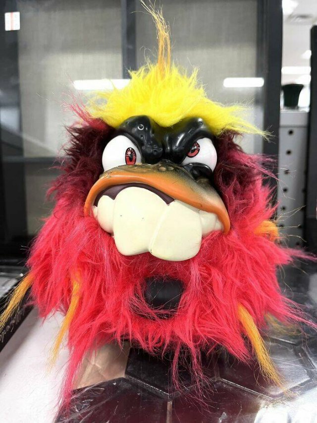 Odd Finds In Charity Shops (40 pics)